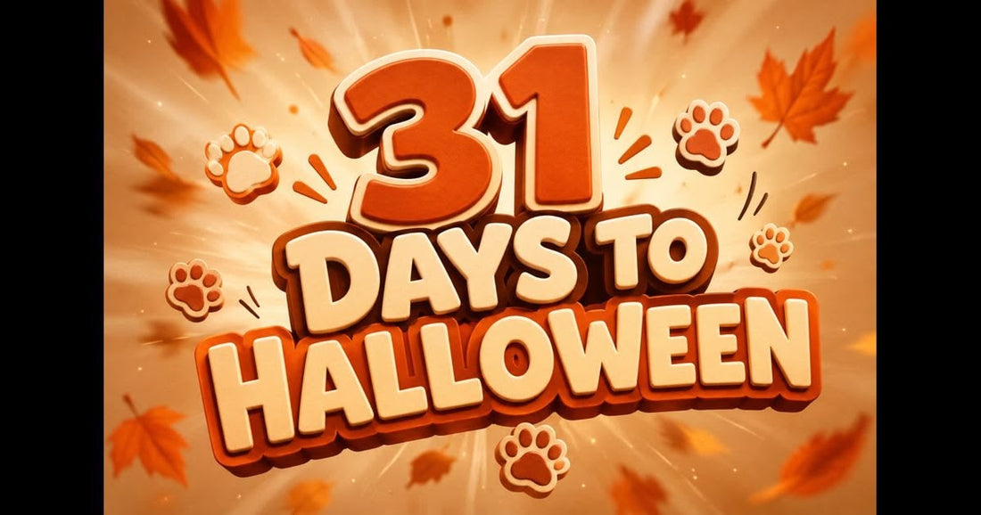 Matching Halloween Costumes for You and Your Dog (2026 Ideas)